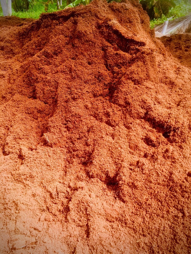 ORGANIC COMPOST HYDROPONIC GROWING MEDIA | COCO COIR COCO PEAT | 100% NATURAL