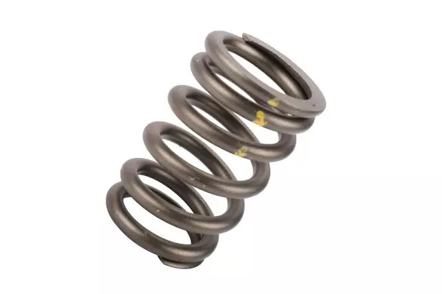 Genuine GM Engine Valve Spring 12565763