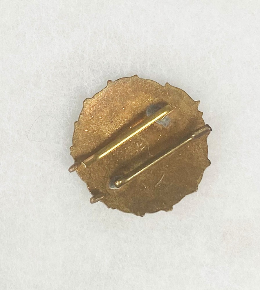 Hungarian Parachute Airborne Badge