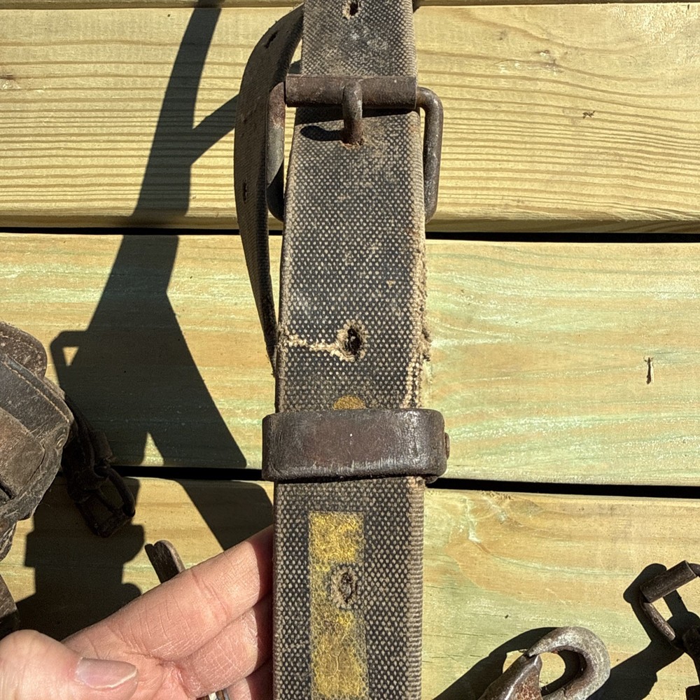 Vintage Pair BUCKINGHAM Climbing Spikes/ Lineman Pole-Tree