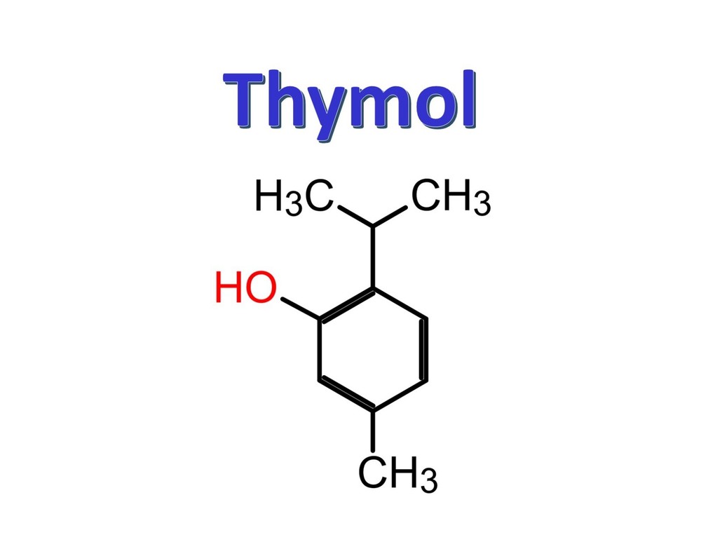 Thymol, CAS 89-83-8