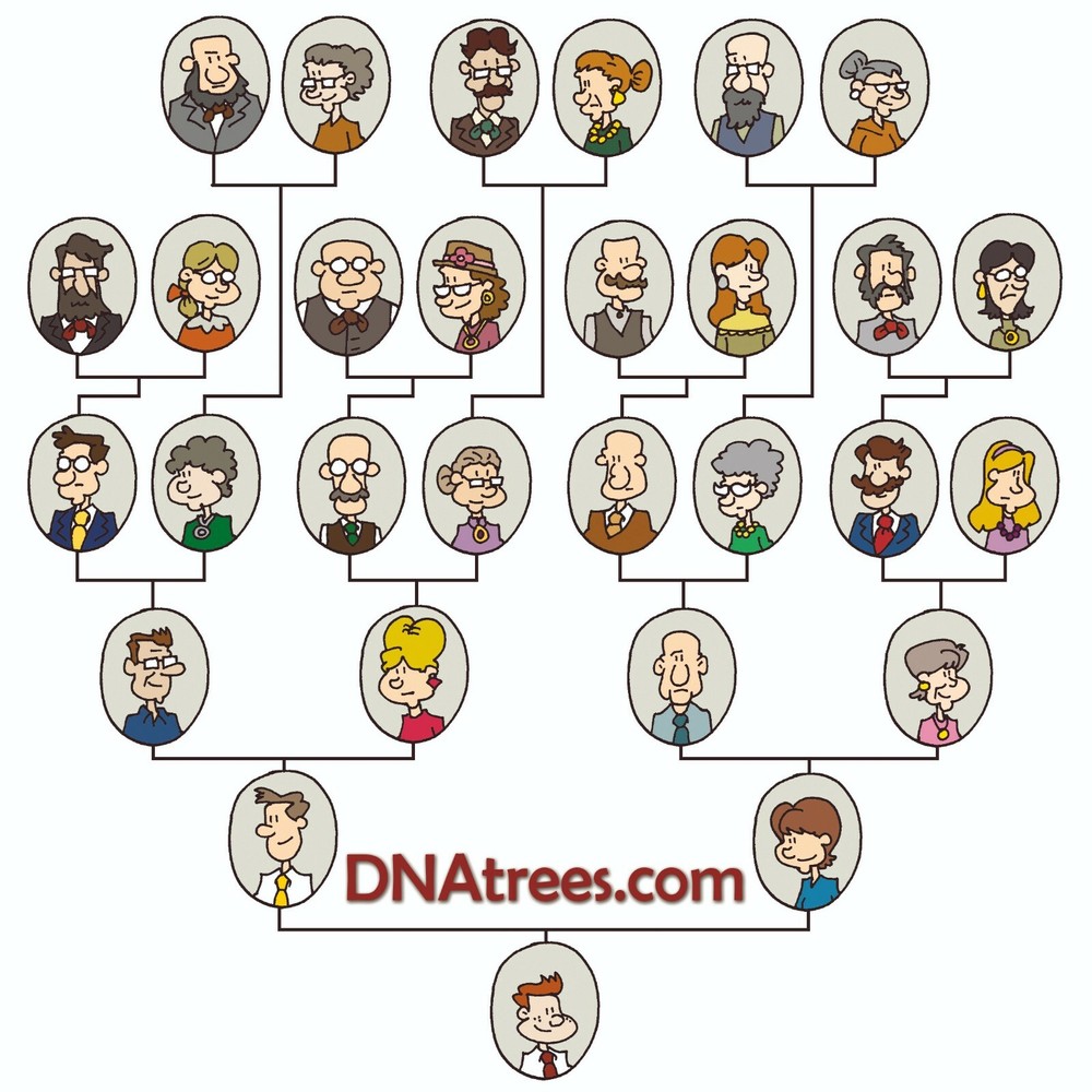 DNAtrees.com