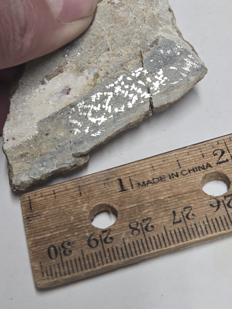 Beautiful Native Silver specimen