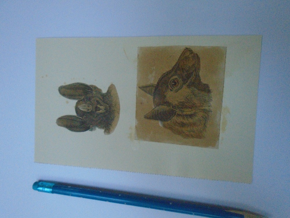 VICTORIAN SCRAP ON CARD BAT