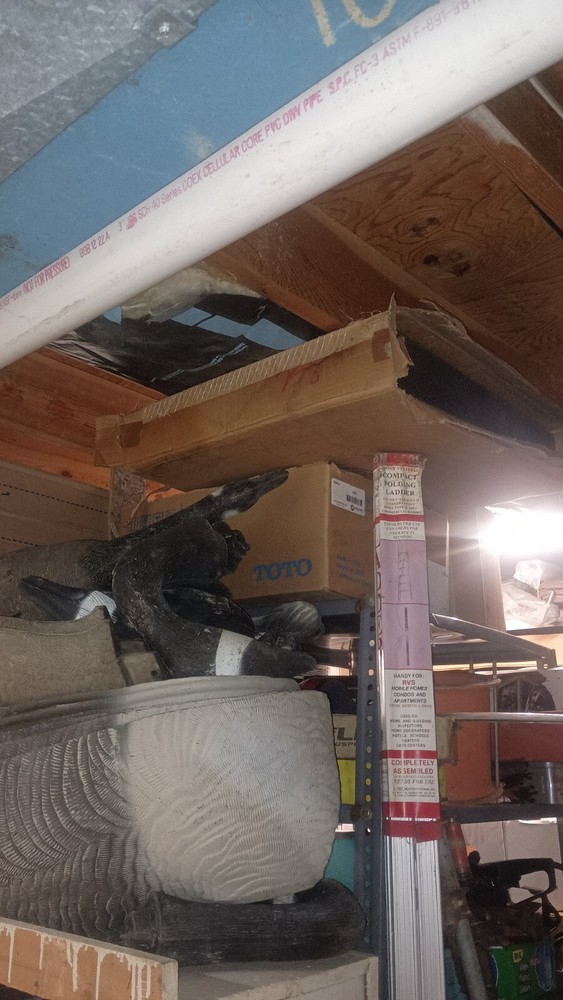 Stanley Hips Black Hole Archery Target 24" Inch