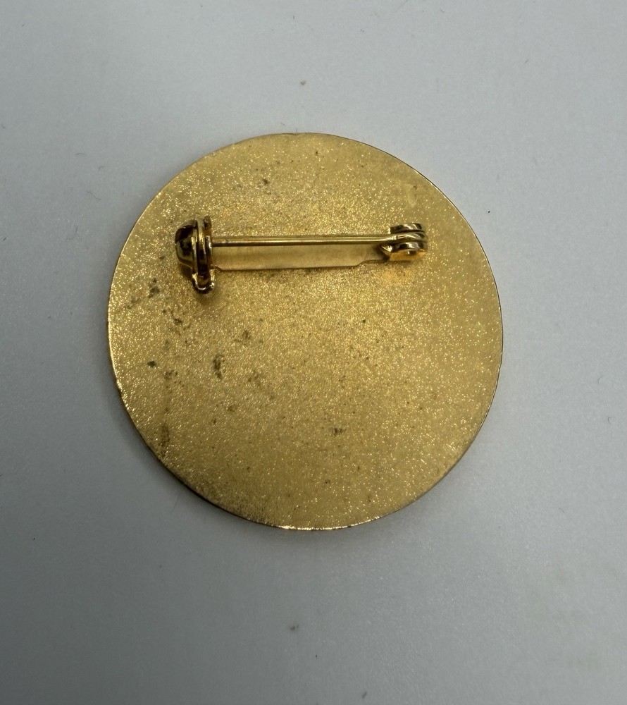 ALPINE SKIING AMBASSADOR PIN