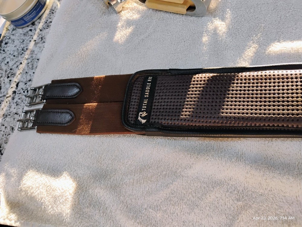 Collegiate Graduate CC/jump 17 in saddle