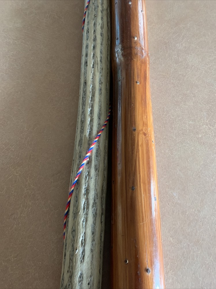 2 RAINSTICKS