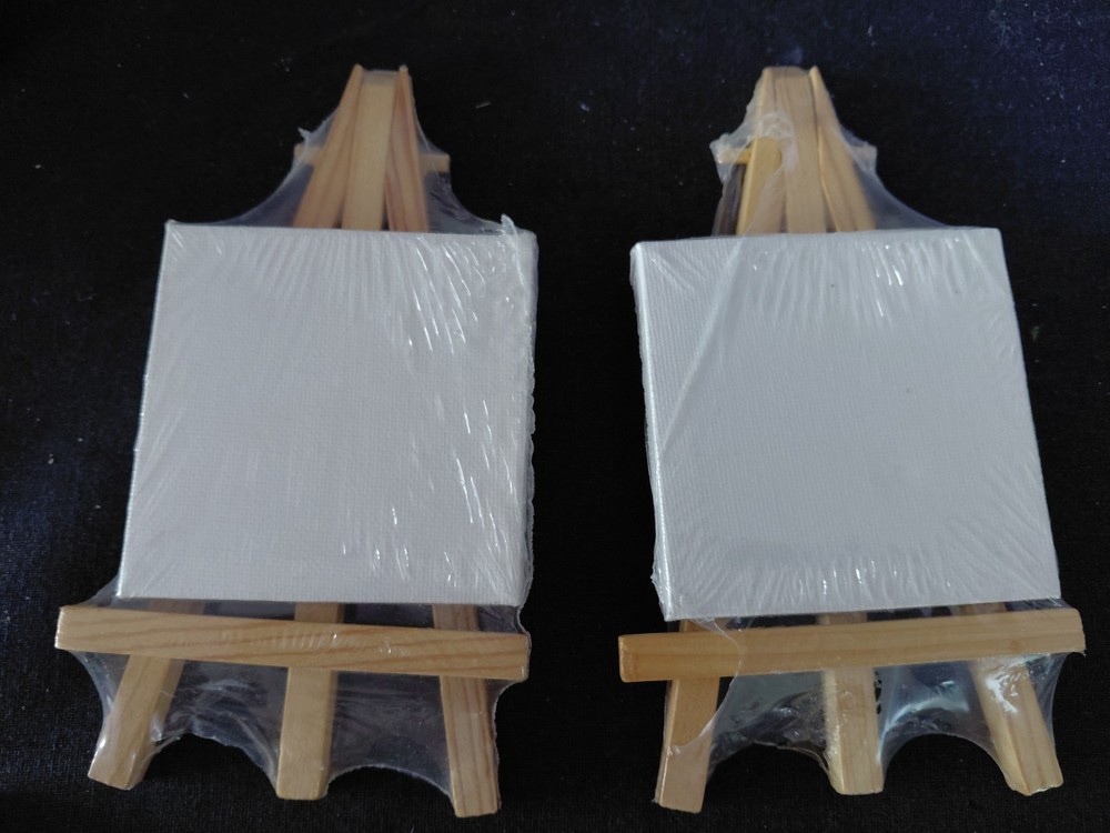 4x Mini Canvas & Easels