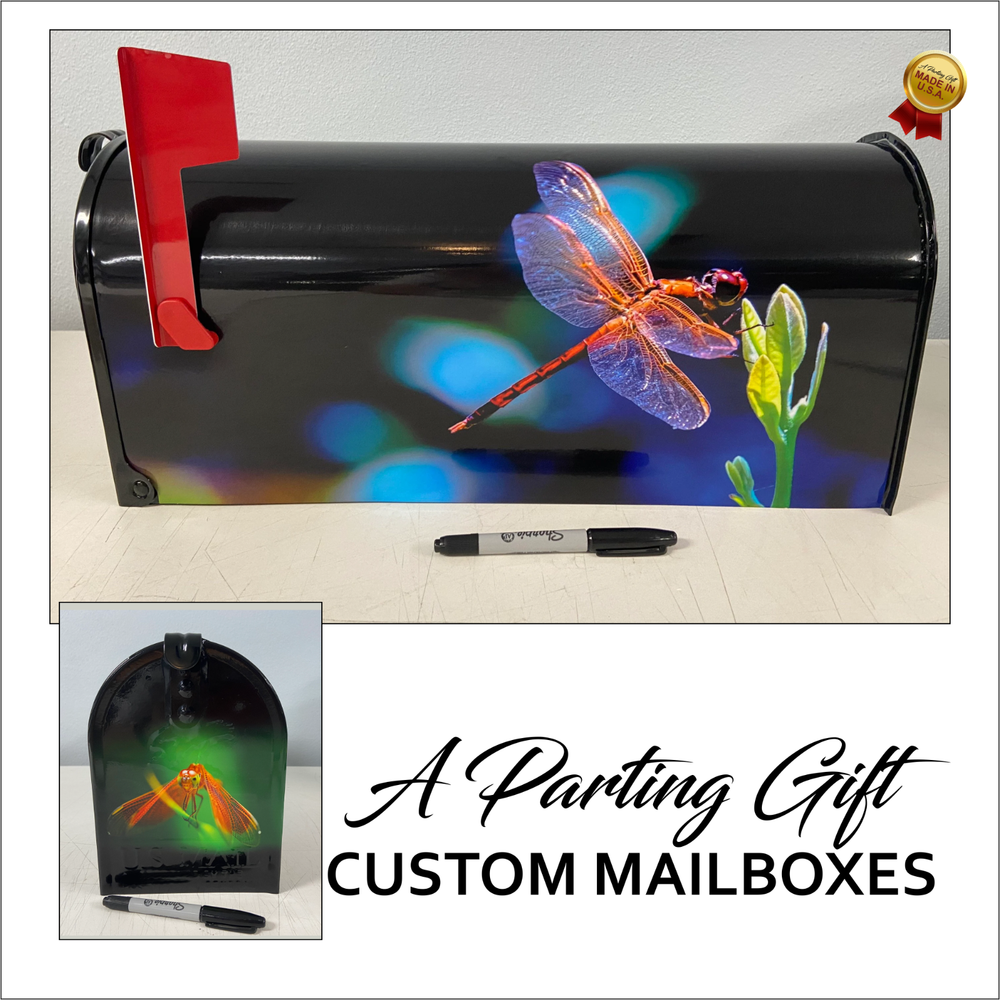 Dragon Fly Custom Mailbox - Fathers Day Gift - Personalized gift for her