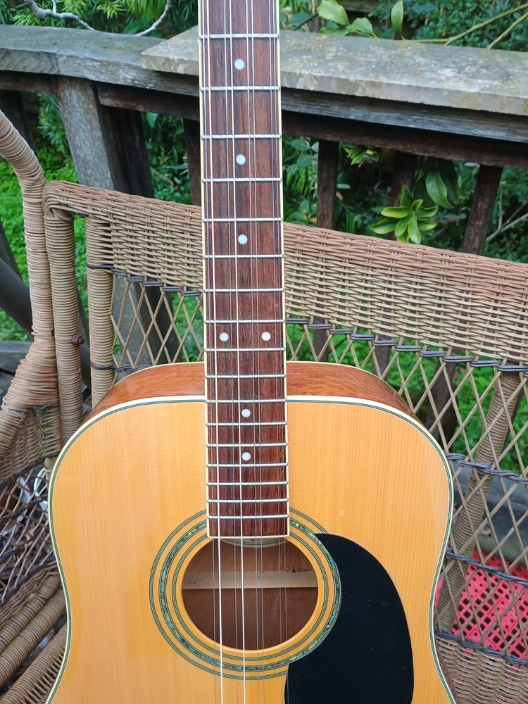 Octave Mandolin/8-String Tenor Guitar Conversion of Mitchell MD-100S