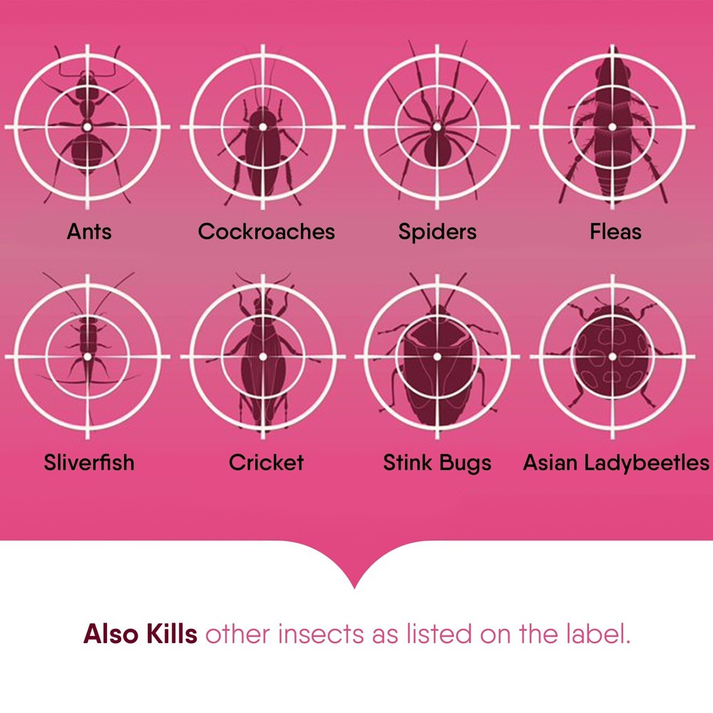 Hot Shot Ant, Roach & Spider Killer: Blossom Your Space Into a Bug-Free Zone