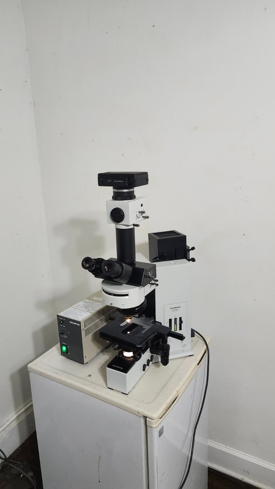 Olympus BX60F3 Microscope 10x ocular 30x objective lense
