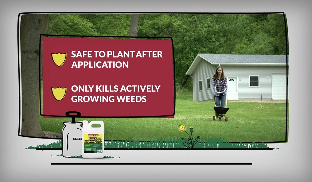 Compare-N-Save Glyphosate Weed & Grass Killer Concentrate, 32 oz