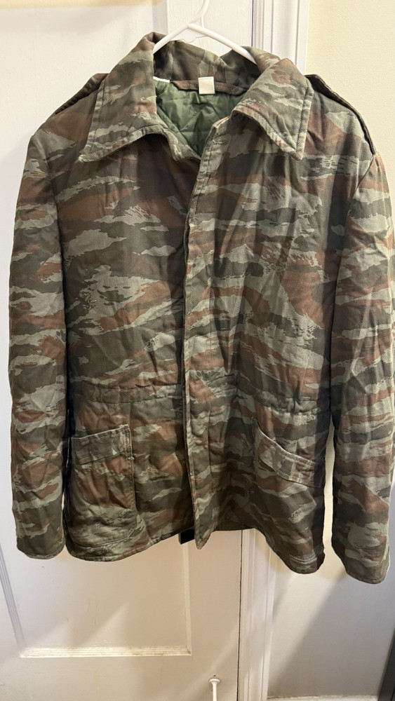 Cuban Lizard/ Grey Lizard