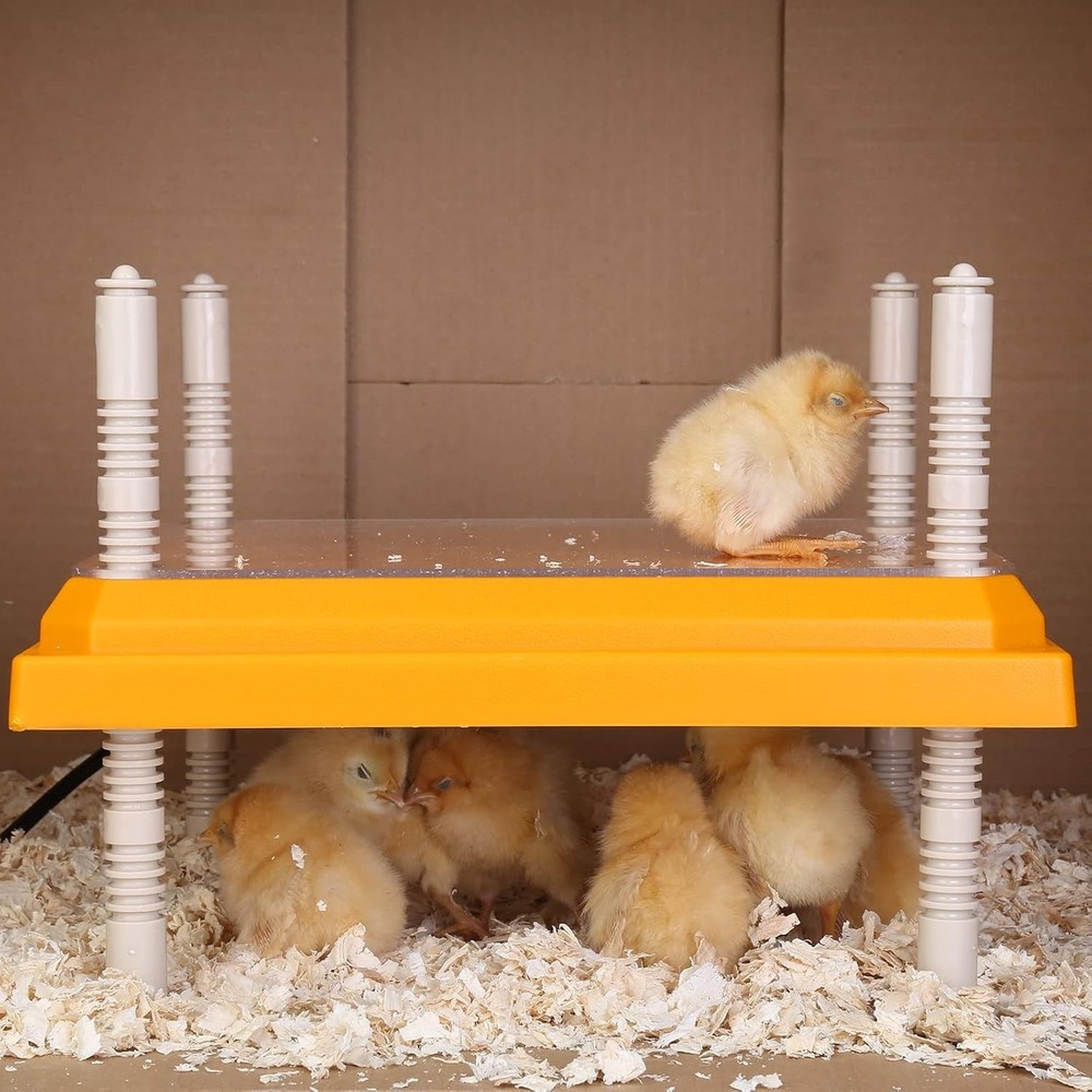 Brooder Heater for Chicks: Chick Brooder Heating Plate with Easy- Cleaning Pl...