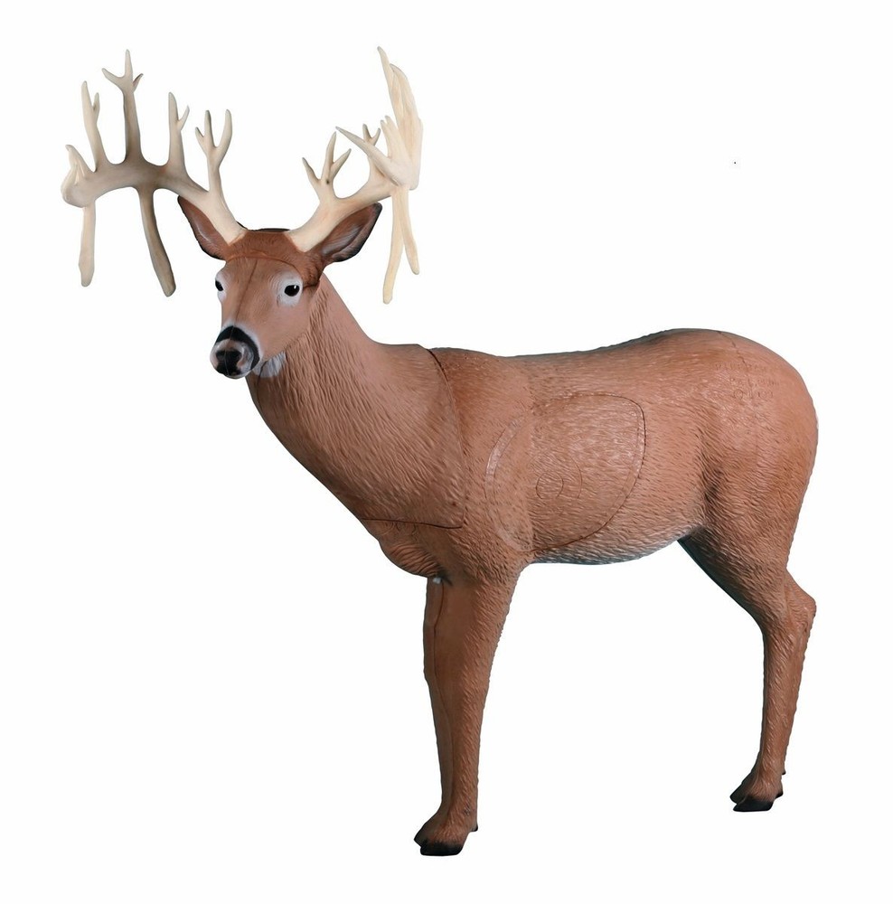 Rinehart Competition Series 30 Point Buck Archery Target IBO Scoring