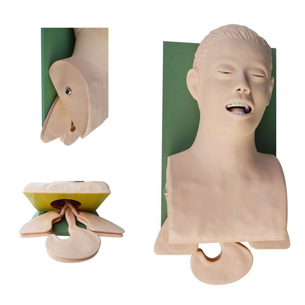 Electronic Silicone Airway Management Trainer,110VStudy Manikin TeachingModel