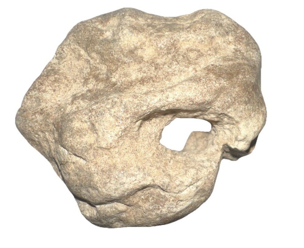 Natural hag stone 1.15oz.