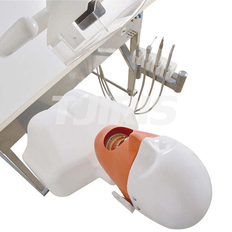 Dental Practice Simulator System Teaching Device Patient Manikin Phantom Model