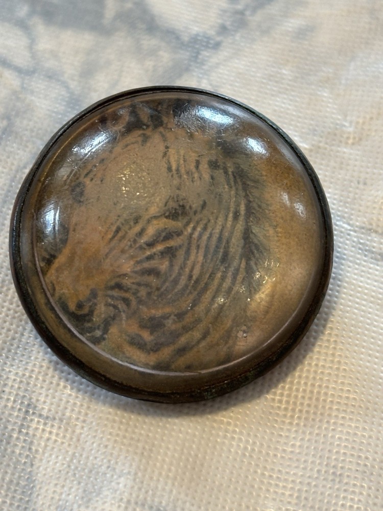 Bridle Rosette Zebra Rare