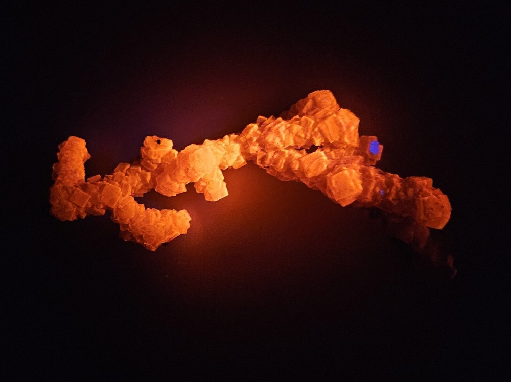 Halite On Wood Fluorescent Mineral Specimen