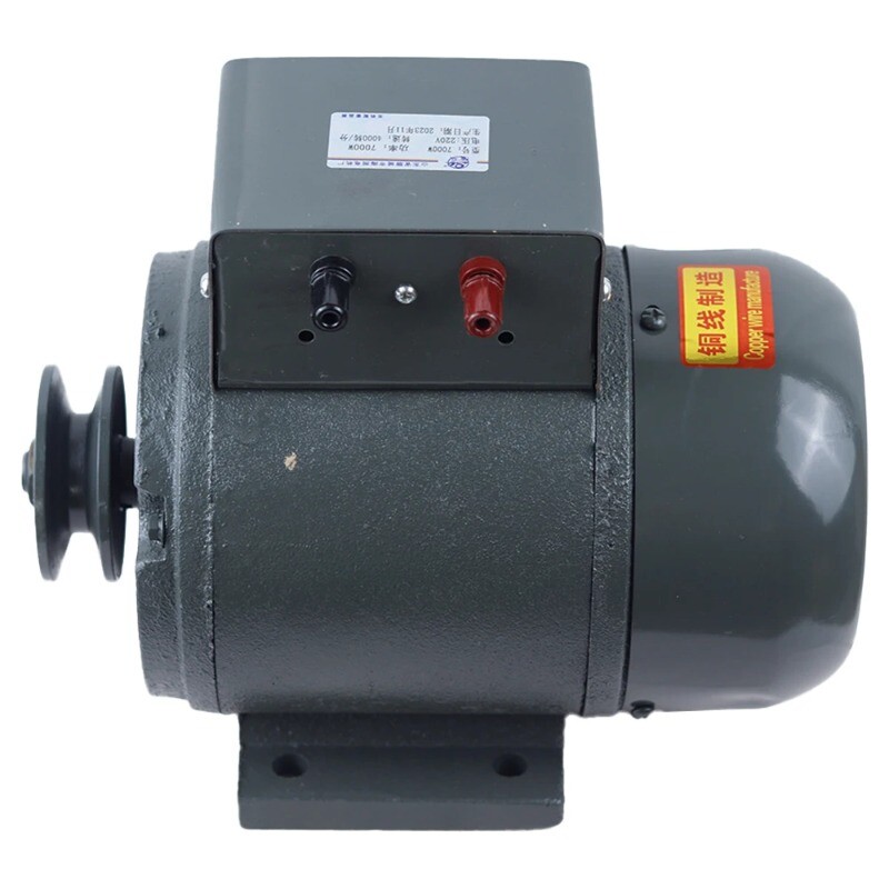 Lighting Generator Belt 220V Diesel Engine 1000W Small Engine Household