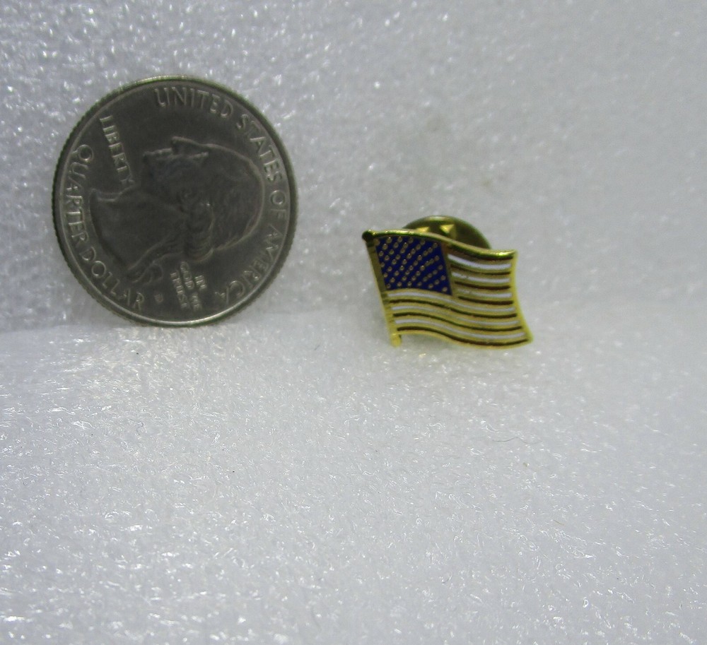 United States Flag Pin