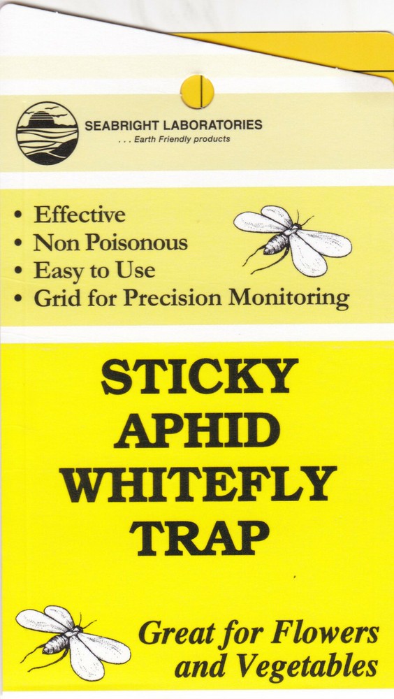 Sticky Aphid and Whitefly Trap (5 pack)