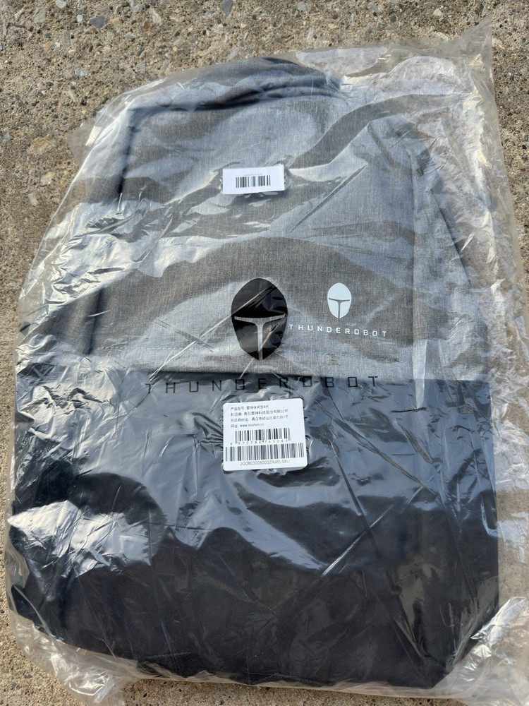 Thunderobot Laptop Backpack (black/gray)