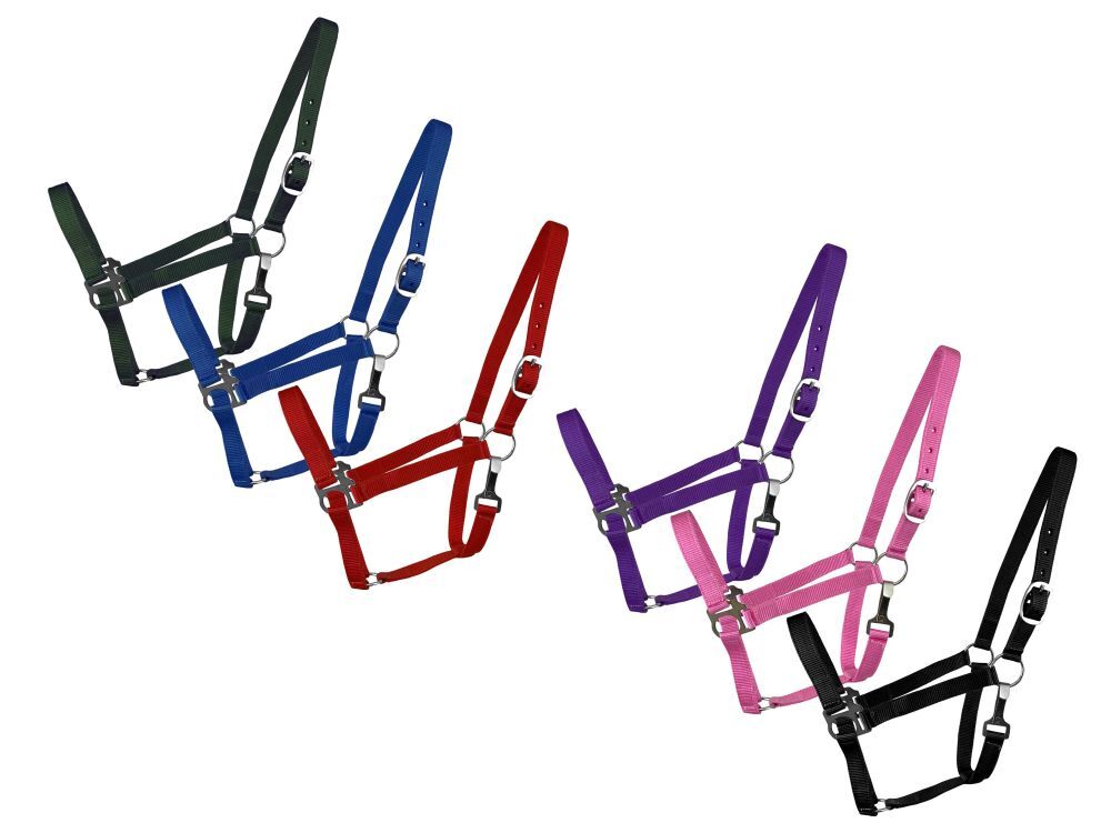2-Ply Nylon Cob Halter