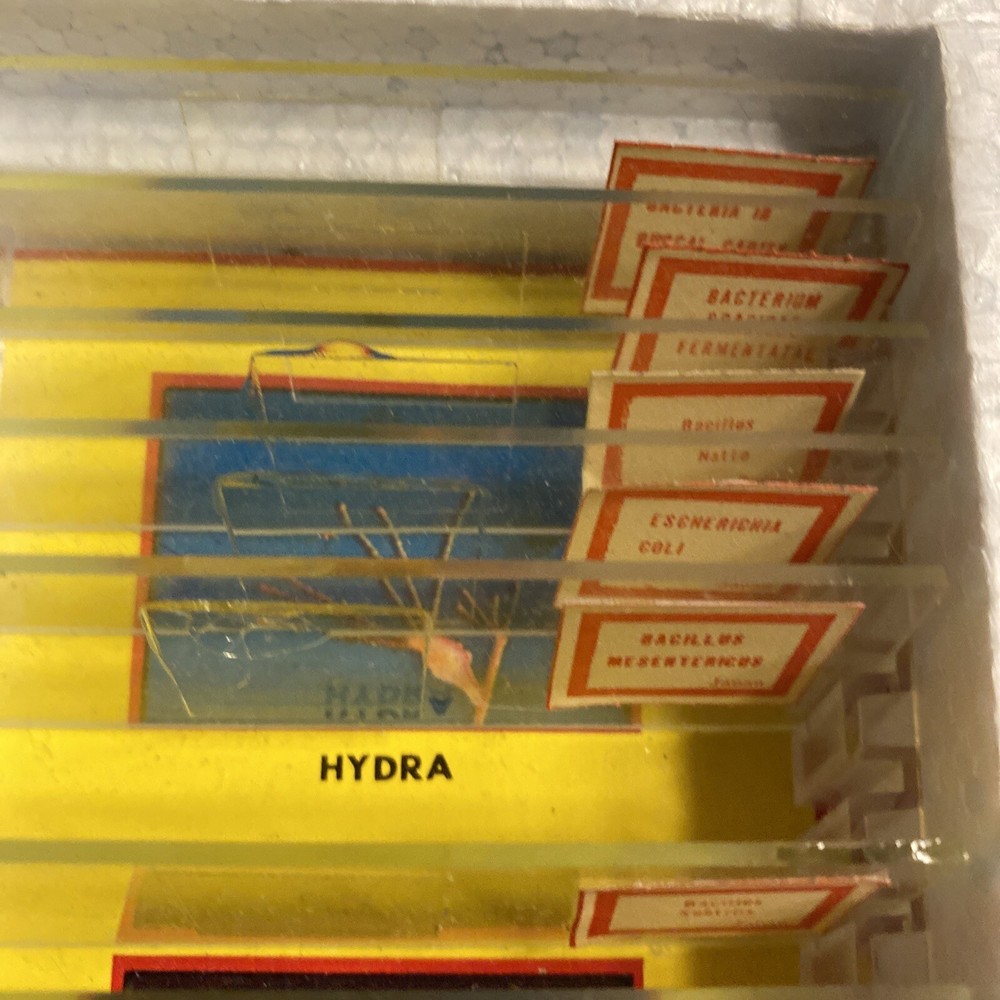 Milben Microscope 22/24 Prepared Slides Bacteria & Blood ***Missing 2 Slides***