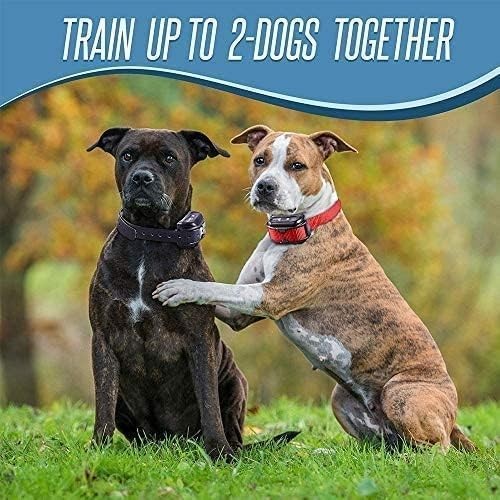 PT0Z1 Waterproof Dog Training Shock Collar - Remote with 1200ft Range