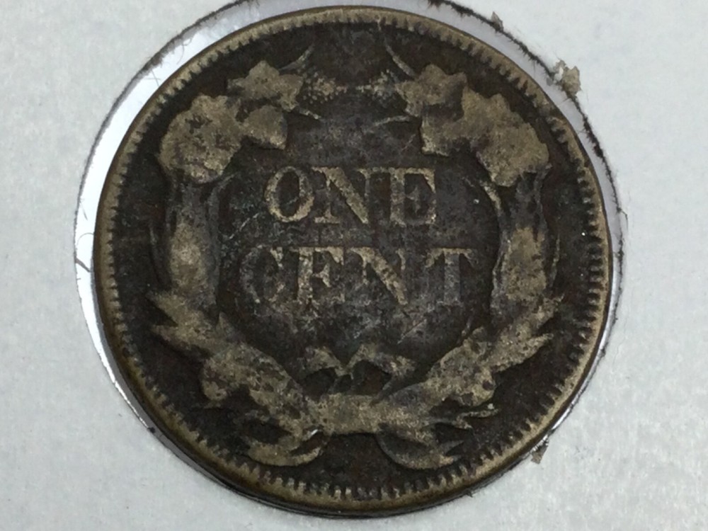 1857 group of Flying Eagle Cents