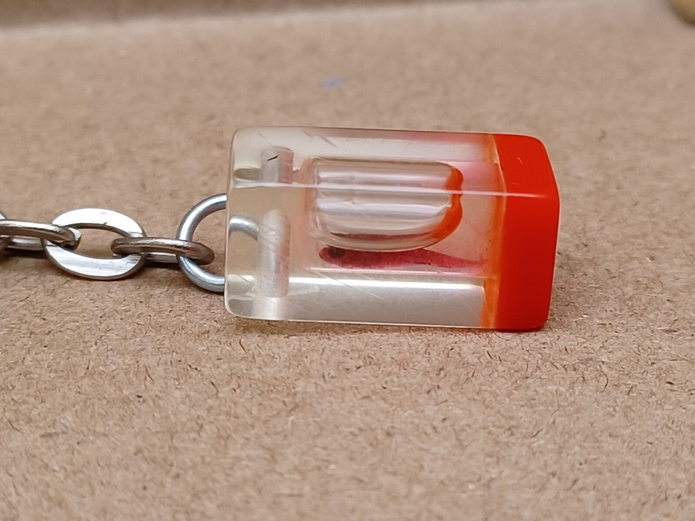 Fish Specimen Acrylic Encased Keychain