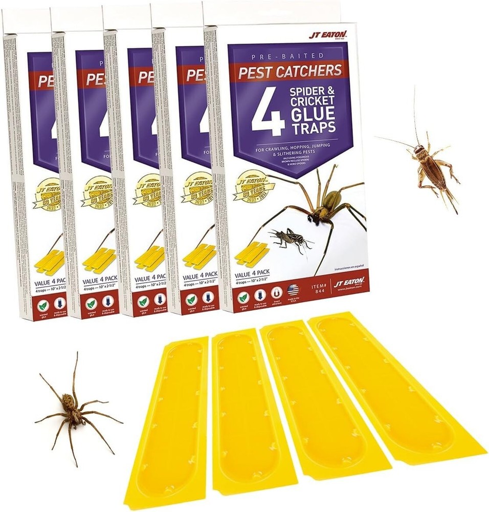 Disposable Spider and Cricket Glue Traps - 5 Pack, Compact & Ready to Use