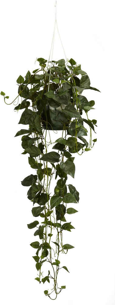 Philodendron Hanging Basket Silk Plant