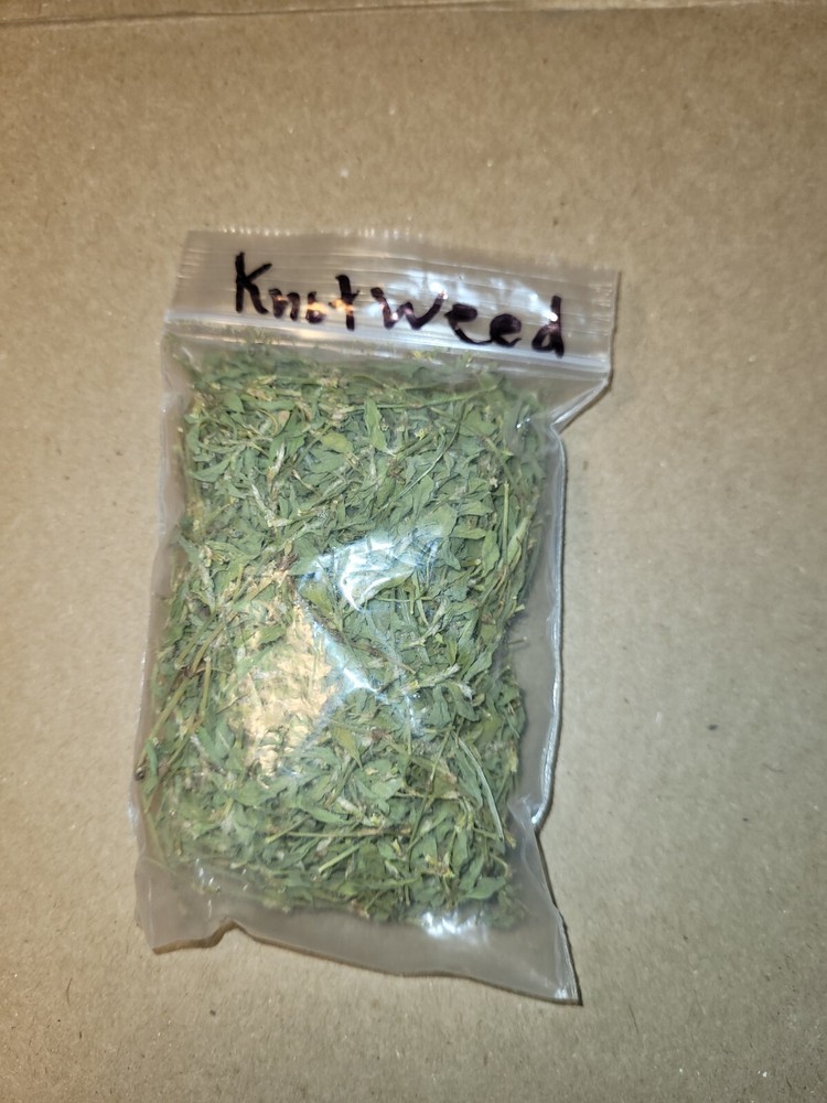 prostrate Knotweed Magick Medicinal