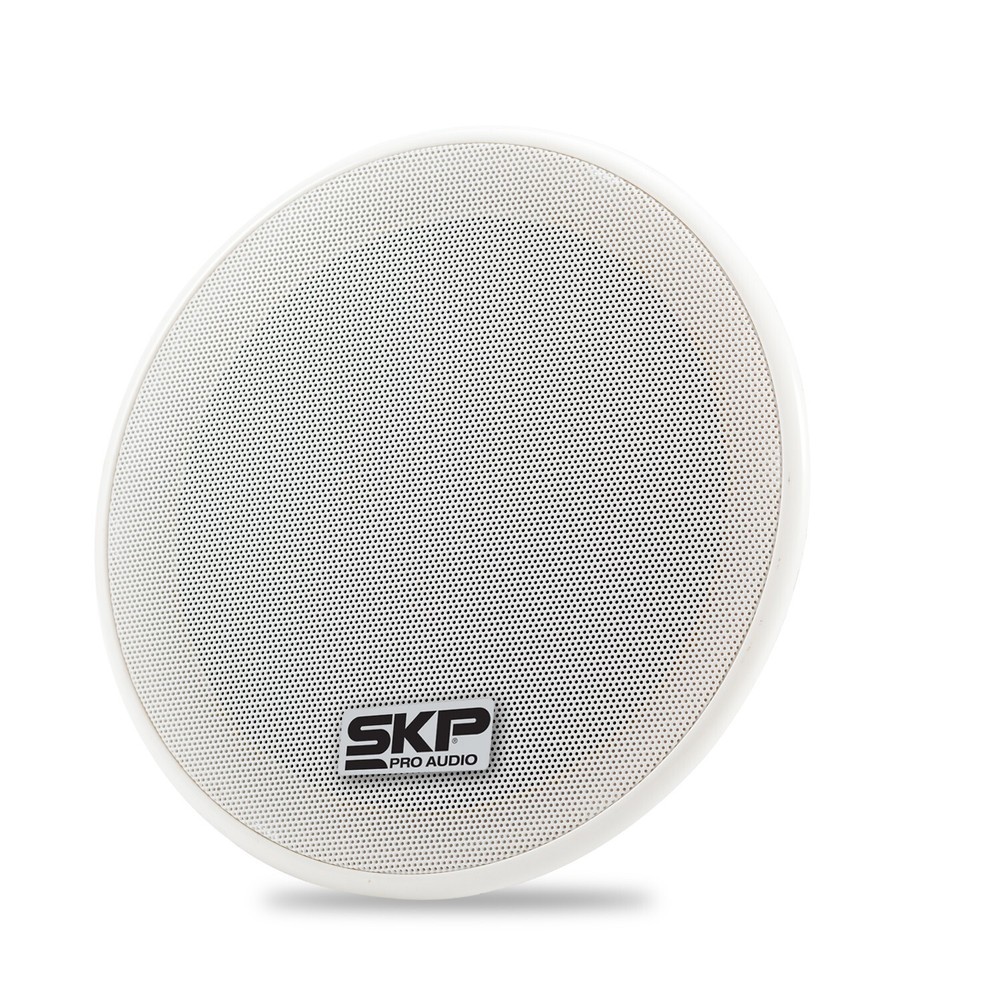 SKP PRO AUDIO INSTALL KIT X4. 1 - Active Speaker