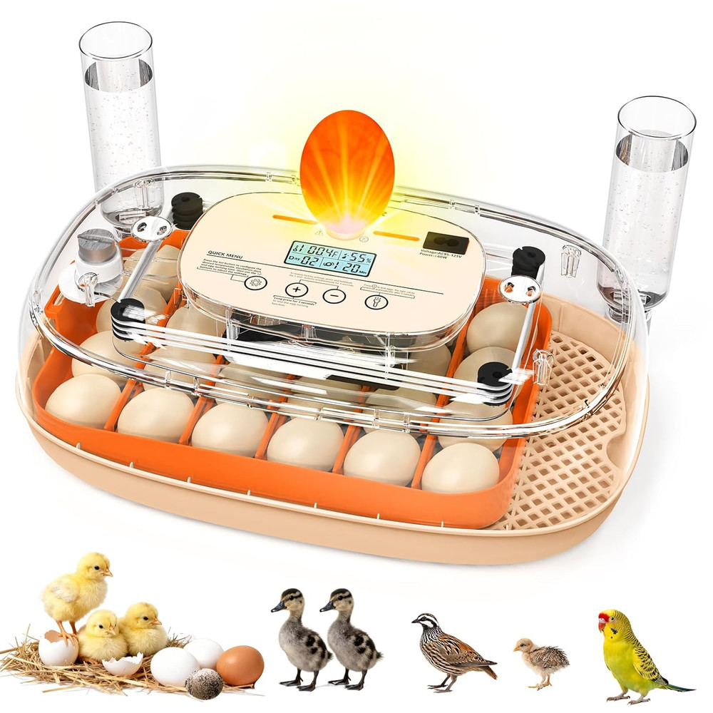 Egg Incubator for 24 Chicken Eggs with Automatic Turner, Digital Temperature Con