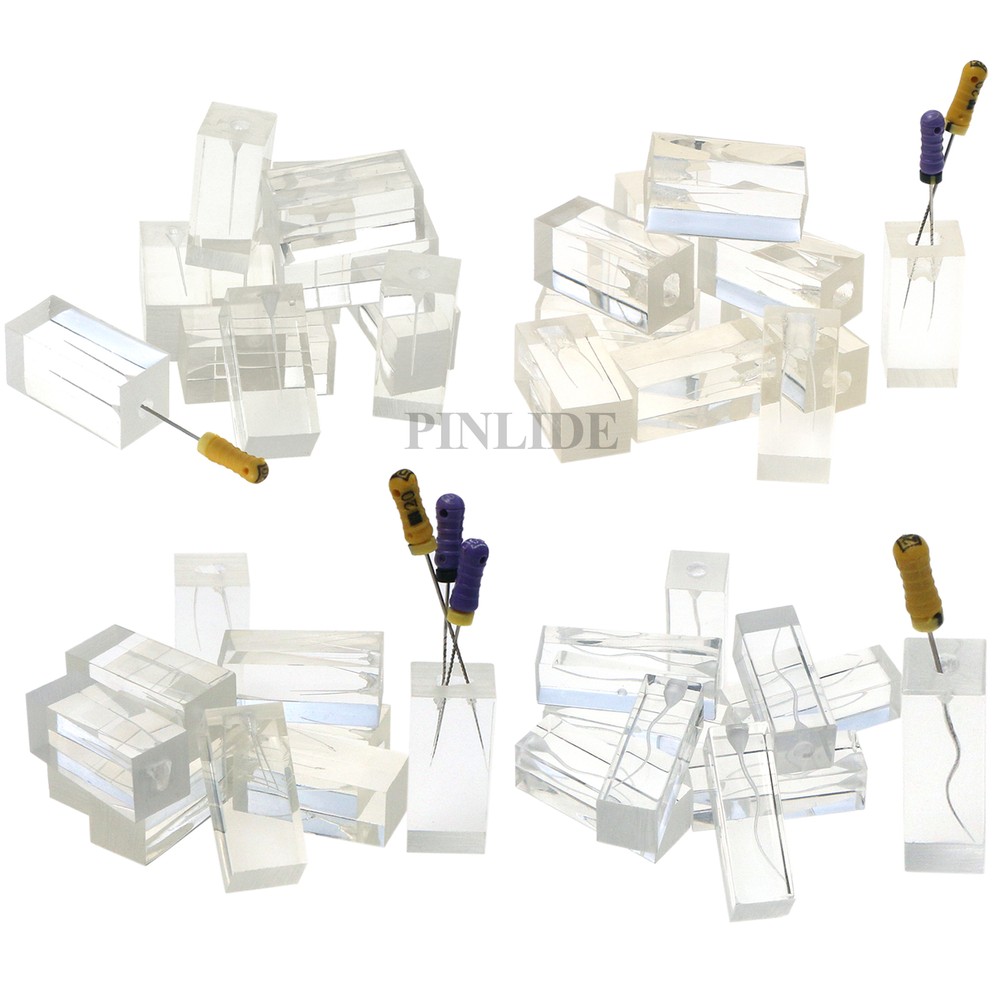 10* Dental Tooth Root Canal Study Practice Model Endo Training Block Clear