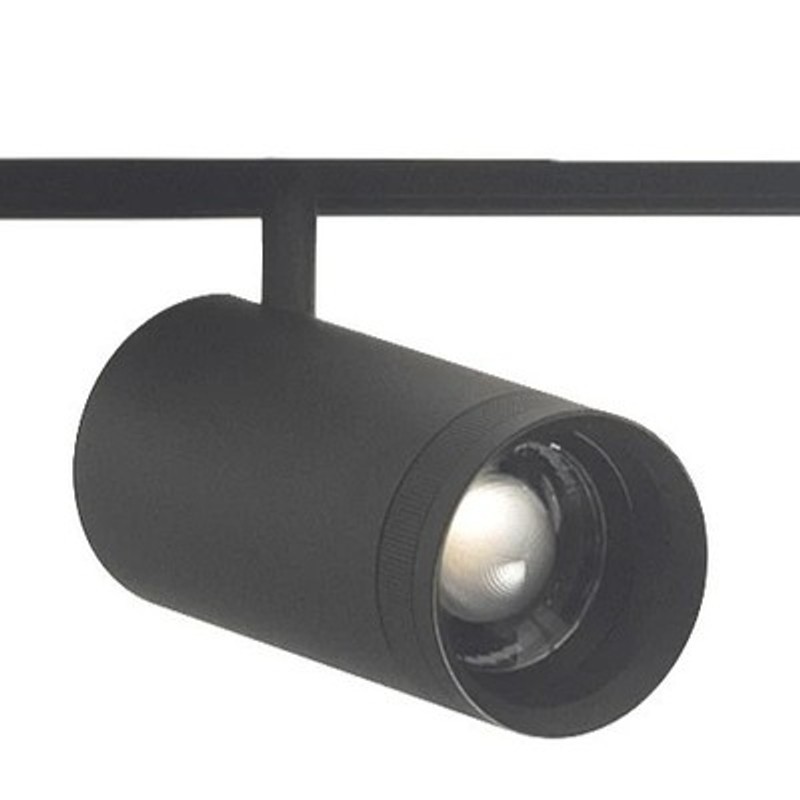 Ceilex 10W Black Adjustable Magnetic Focus Spot Light (Zigbee + 3CCT)