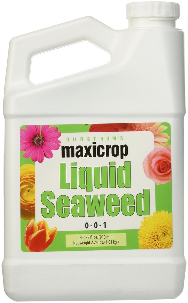 Maxicrop Liquid Seaweed Kelp Extract, 32 Oz
