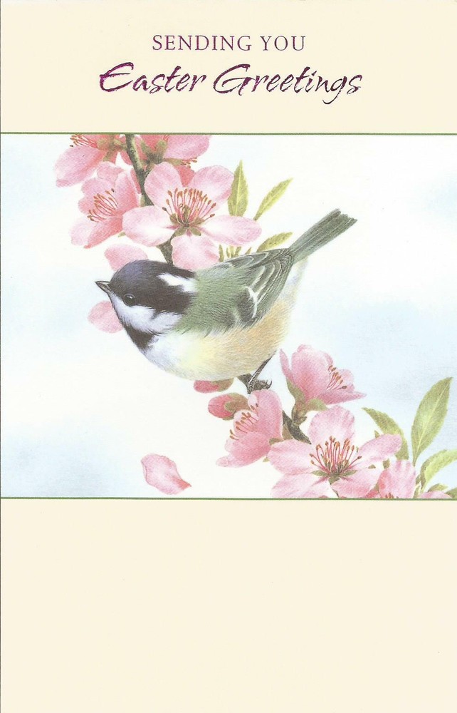 SENDING YOU Easter Greetings (E)