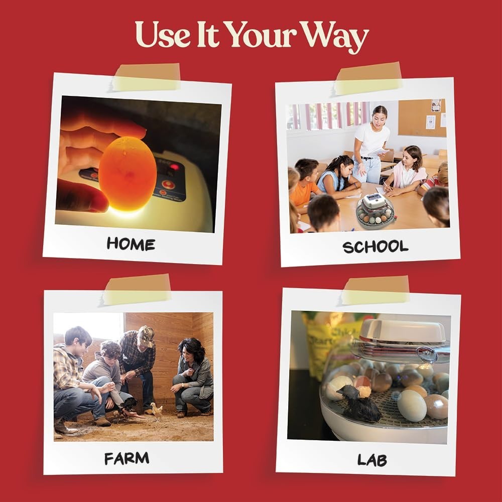 Compact Nurture Right Egg Incubator for Successful Hatching – 12-22 Egg Capacity