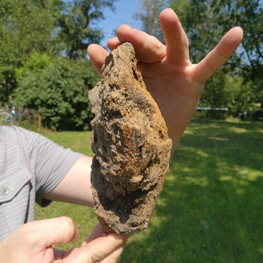 Big Heavy Dinosaur Bone Section - Fossil from Hell Creek Formation Cretaceous