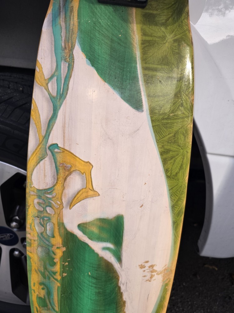Sector 9 Skateboard Bamboo Deck Long Board