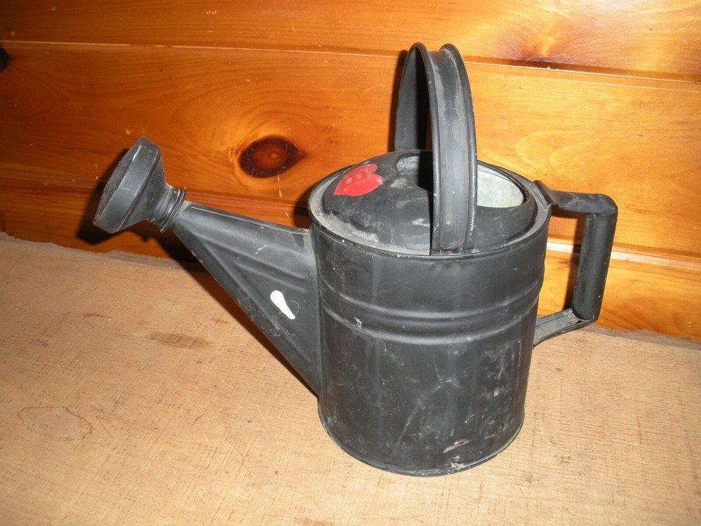 Vintage Galvanized Hand Painted Watering Can / 6 Quart