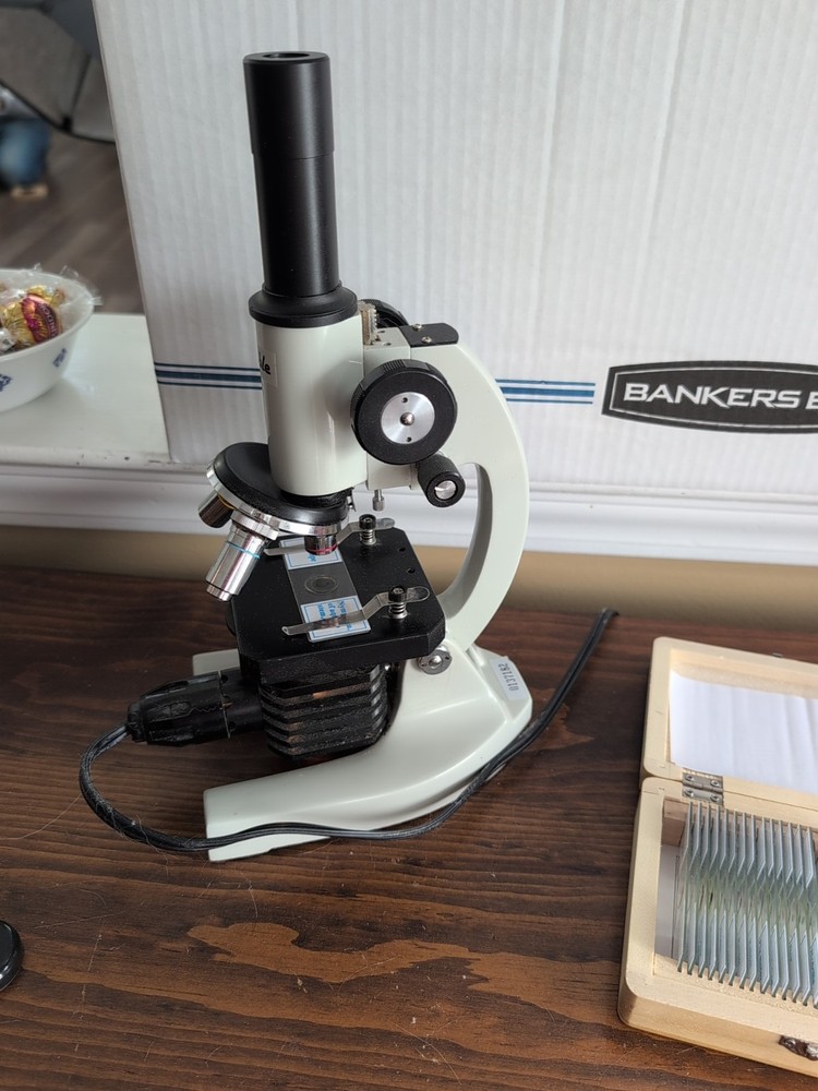 Able Microscope With Slides