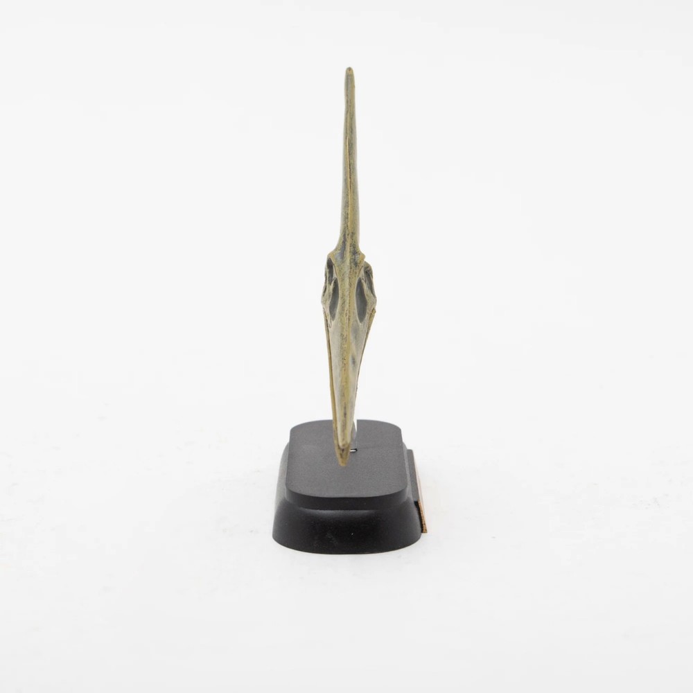 Dinosaur Pteranodon Skull Mini Figure Mini Model Favorite